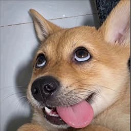 靓仔头像